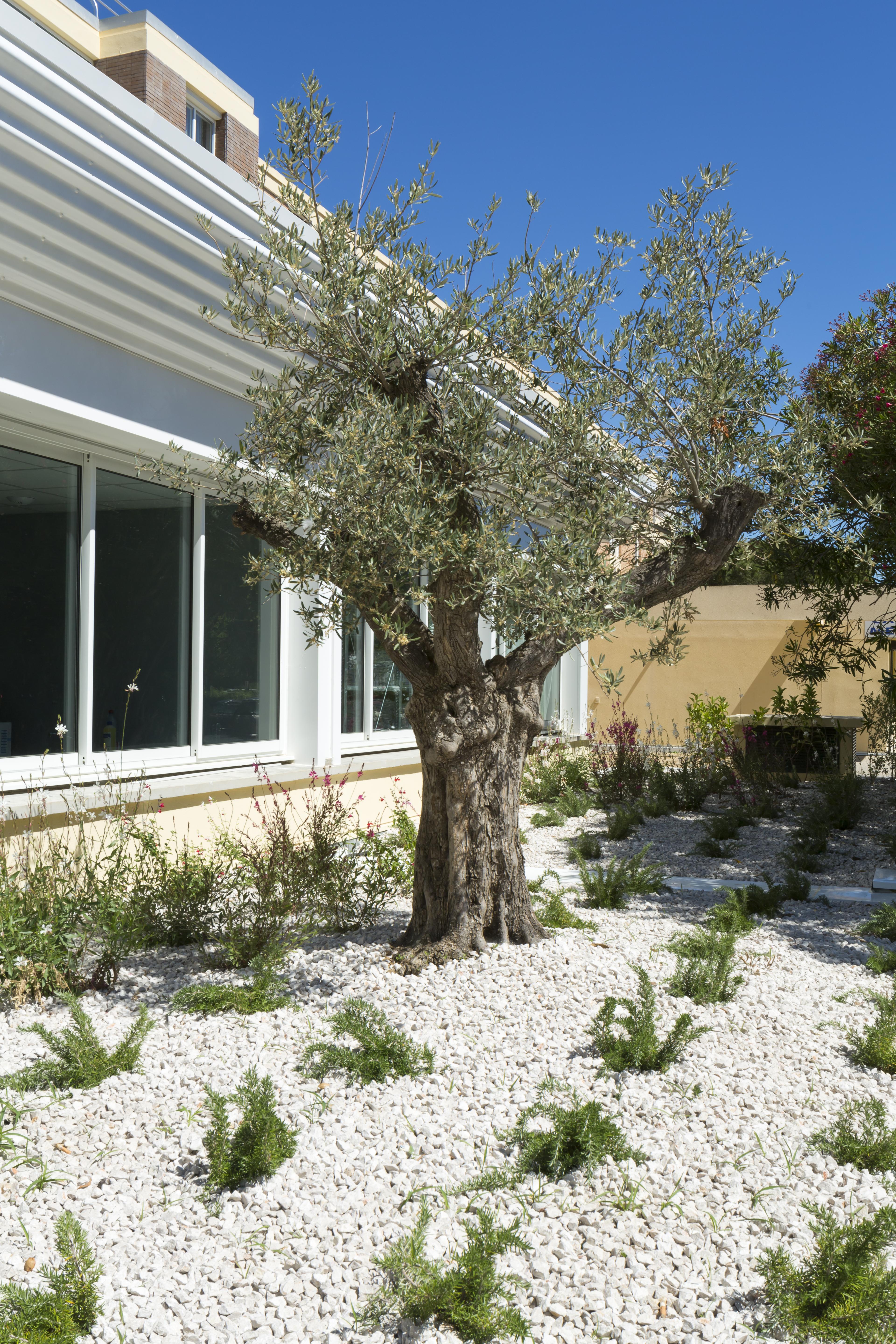 Logis Hotel Les Pins - Operalia Balaruc-les-Bains Exteriér fotografie